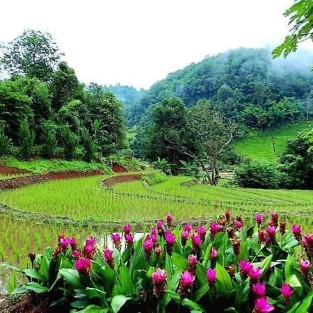 Kowitfarmstay Ban Mae Pan Noi Luaran gambar