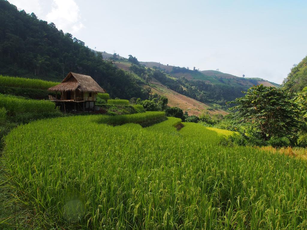 Kowitfarmstay Ban Mae Pan Noi Luaran gambar