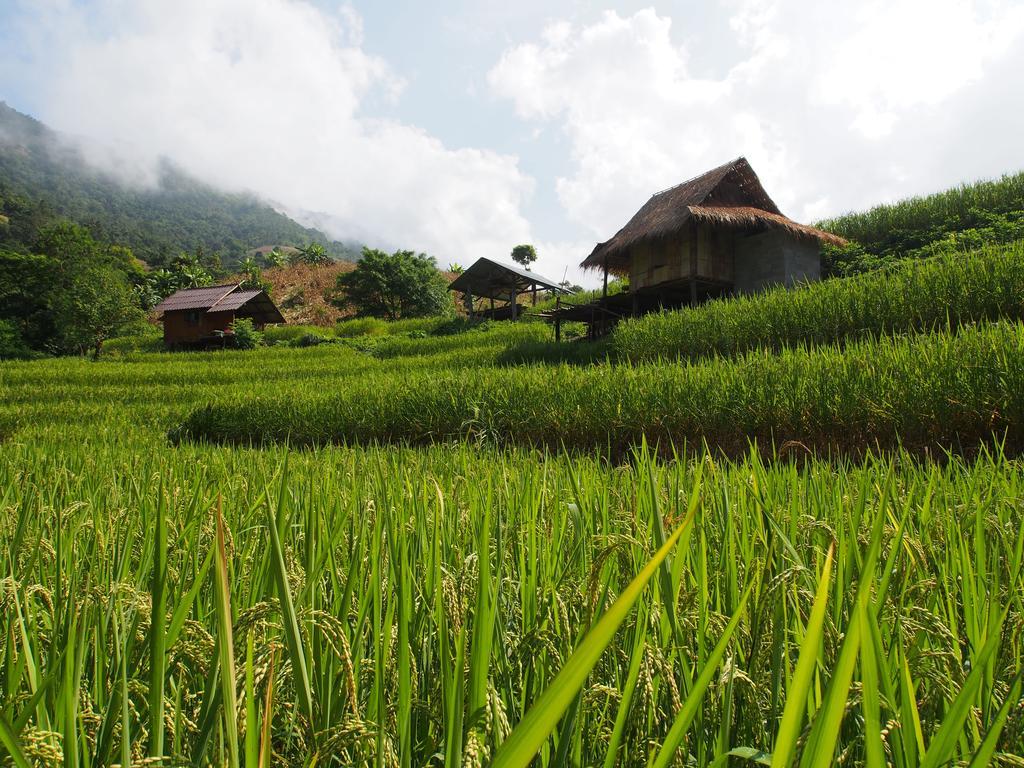 Kowitfarmstay Ban Mae Pan Noi Luaran gambar