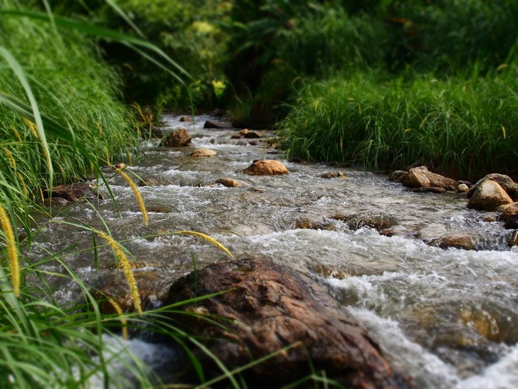Kowitfarmstay Ban Mae Pan Noi Luaran gambar