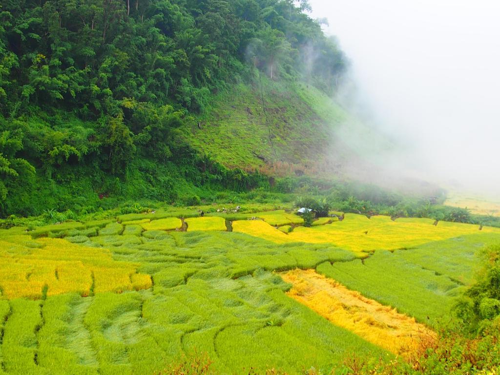 Kowitfarmstay Ban Mae Pan Noi Luaran gambar