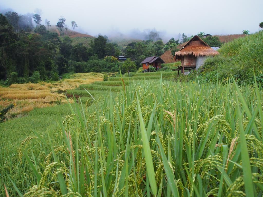 Kowitfarmstay Ban Mae Pan Noi Luaran gambar