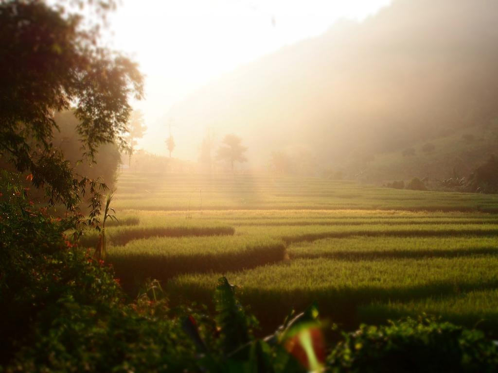 Kowitfarmstay Ban Mae Pan Noi Luaran gambar