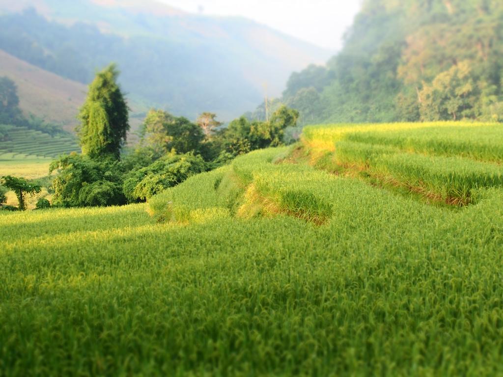 Kowitfarmstay Ban Mae Pan Noi Luaran gambar