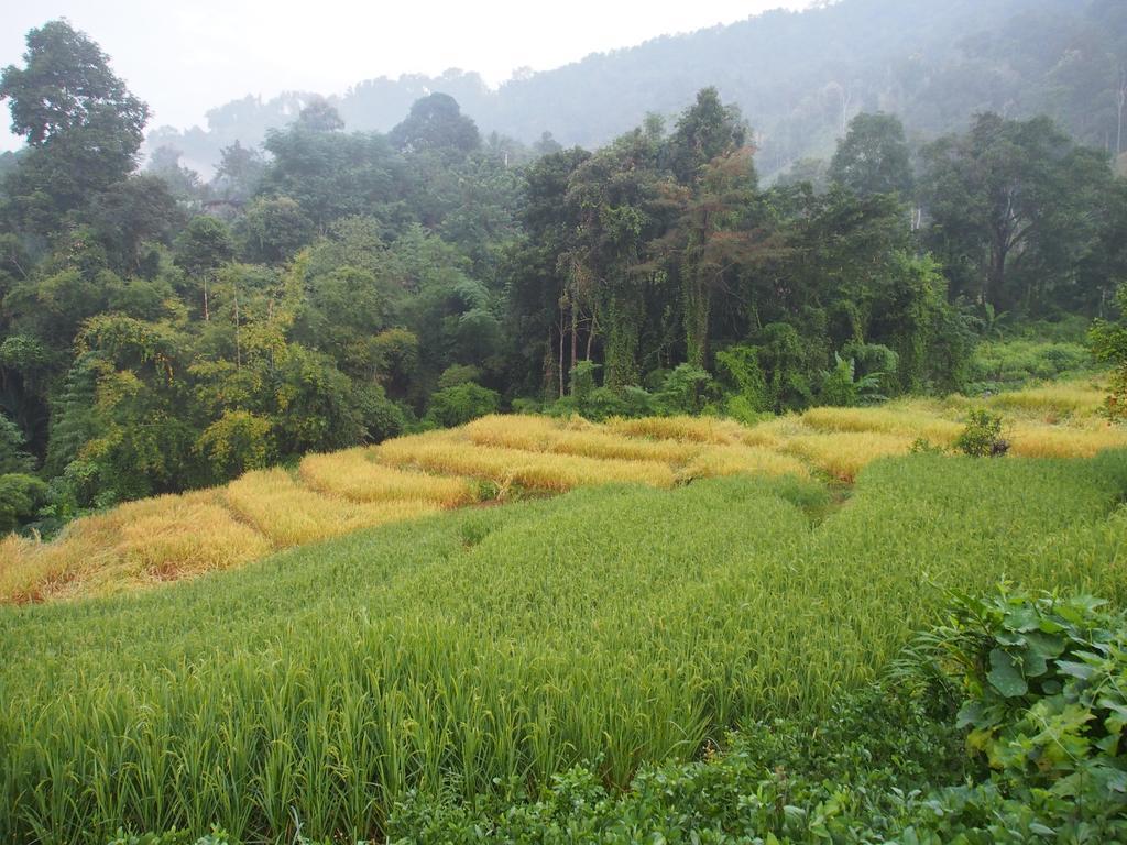 Kowitfarmstay Ban Mae Pan Noi Luaran gambar