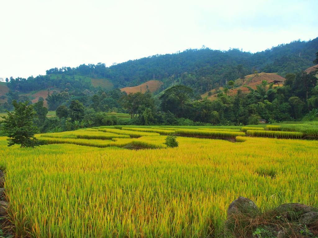 Kowitfarmstay Ban Mae Pan Noi Luaran gambar