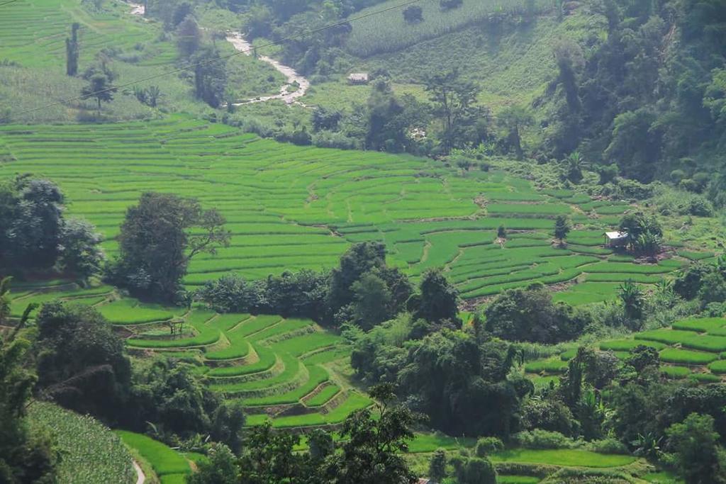 Kowitfarmstay Ban Mae Pan Noi Luaran gambar