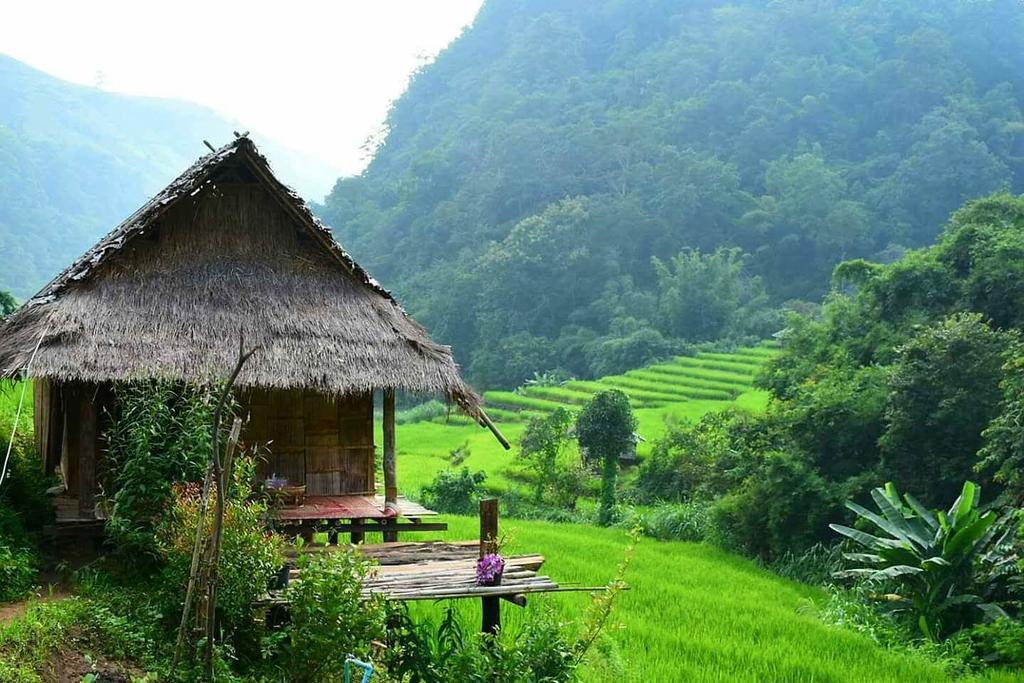 Kowitfarmstay Ban Mae Pan Noi Luaran gambar