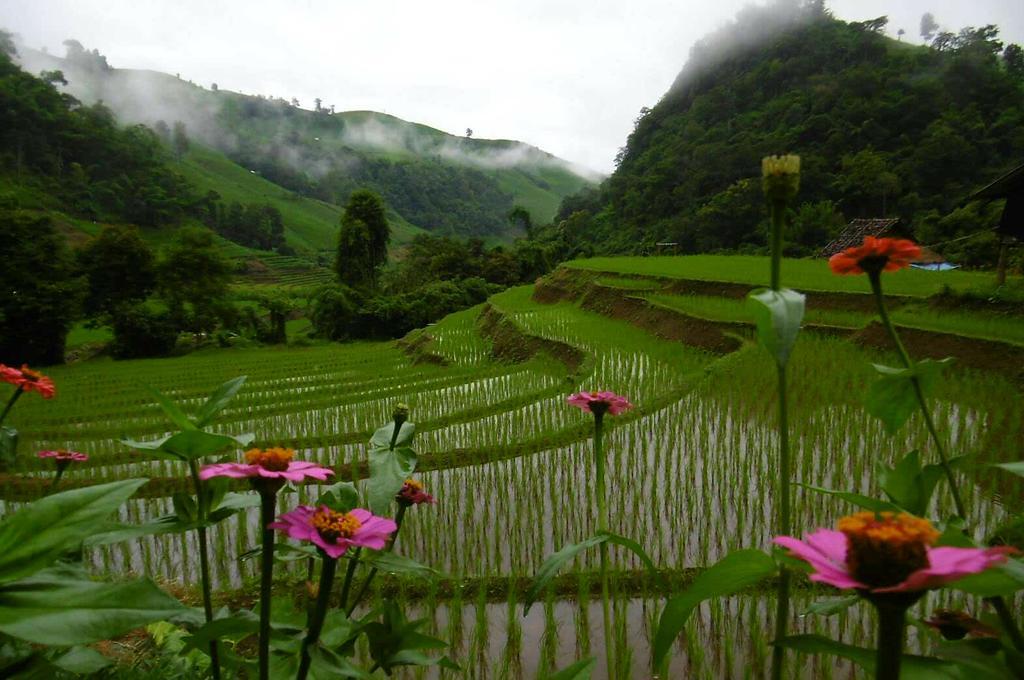 Kowitfarmstay Ban Mae Pan Noi Luaran gambar