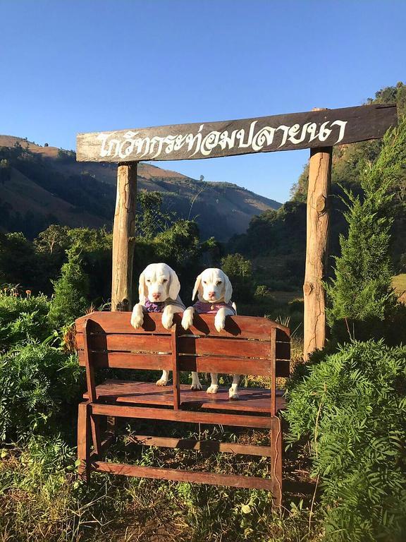 Kowitfarmstay Ban Mae Pan Noi Luaran gambar