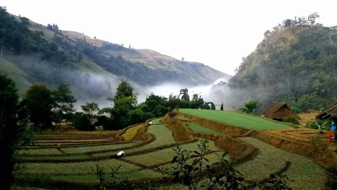 Kowitfarmstay Ban Mae Pan Noi Luaran gambar